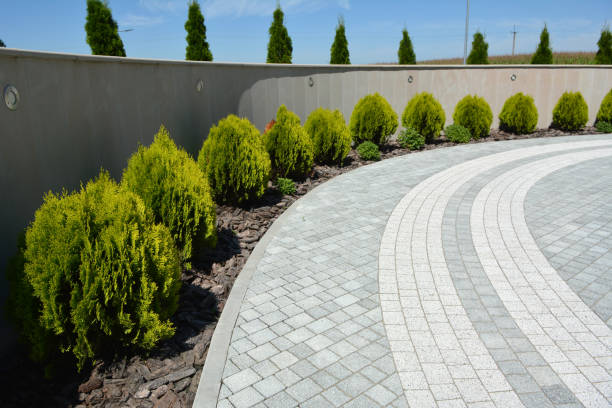 Best Driveway Paving Contractor  in Hughes Springs, TX
